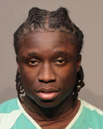 Mugshot of MARTON VAVA FULTON