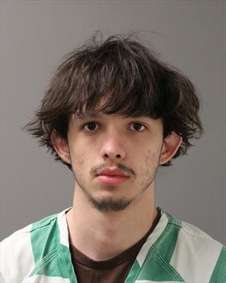 Mugshot of DYLAN DEAN GEORGE