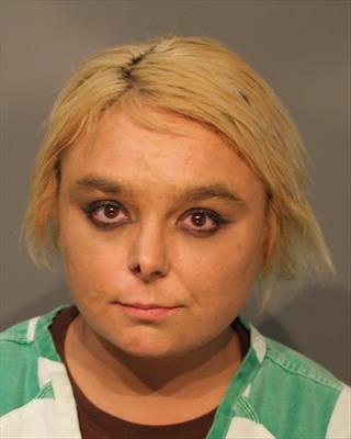 Mugshot of ANIDA JEAN SHEARER