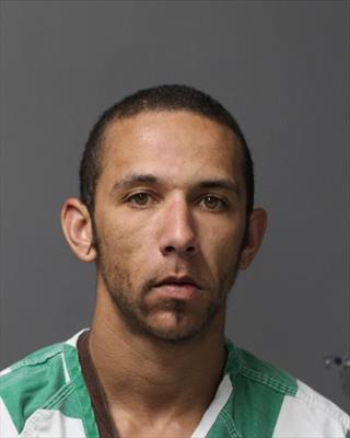 Mugshot of AARON DANIEL REEVES