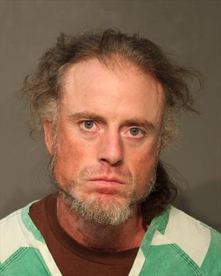 Mugshot of BRANDON MICHAEL CREES