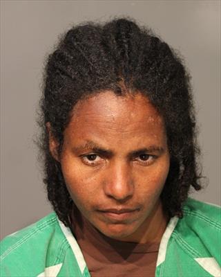 Mugshot of LETEKIDAN HAGOS GEREMESKEL