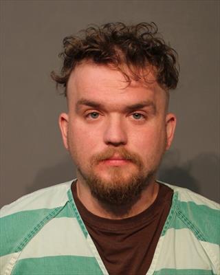 Mugshot of DAVID ANTHONY PEDASHOV