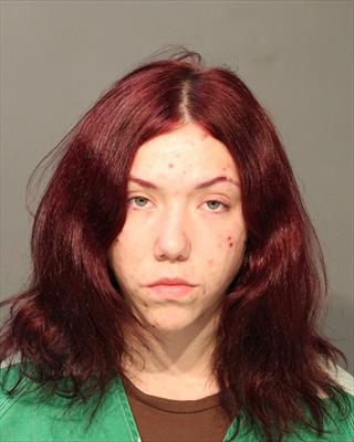 Mugshot of BILLIEGEAN ELIZABETH LEWIS