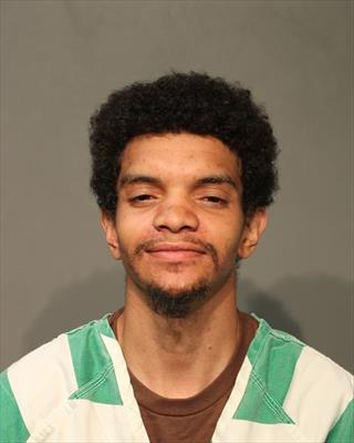 Mugshot of DYLAN THOMAS ORMAN