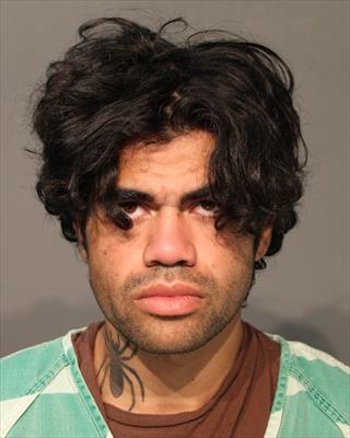 Mugshot of CHANDLER JAMISON PHONG