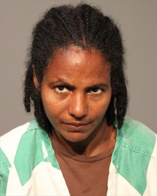 Mugshot of LETEKIDAN HAGOS GEREMESKEL