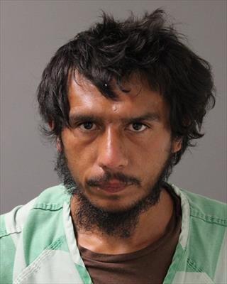 Mugshot of ROBERT LEWIS GRUEN