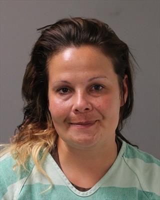 Mugshot of STEVI RENEE JANSSEN