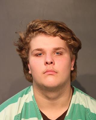 Mugshot of ZACHARY LEE EMANUEL HARLESS