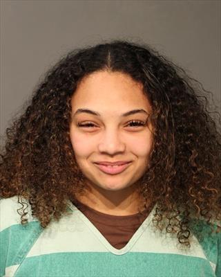 Mugshot of DESTINY ORTIZ