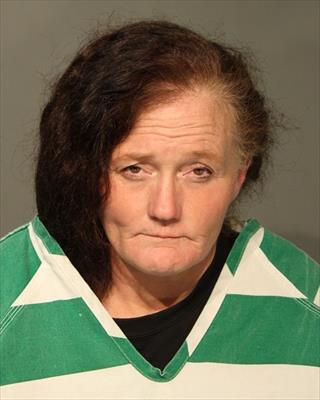 Mugshot of JOLENE RENEE DEVIN