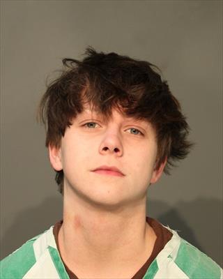 Mugshot of MADALYN JO DOUGLAS