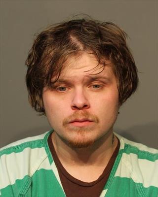 Mugshot of DYLAN LEVI MCVEY