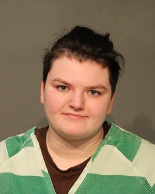 Mugshot of CARLEE REEVAROSE LANGFORD