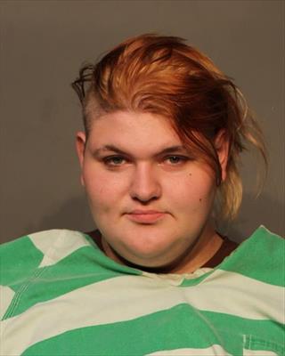 Mugshot of DANICKA SHAWN FOWLER