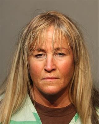 Mugshot of BRANDIE MARIE ROKITNICKI