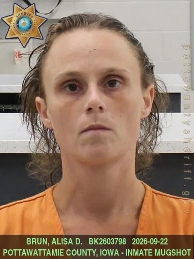 Mugshot of ALISA DIANE BRUN