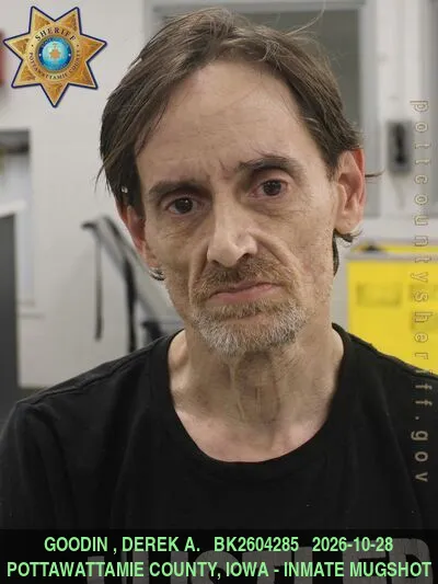 Mugshot of DEREK ANTHONY GOODIN