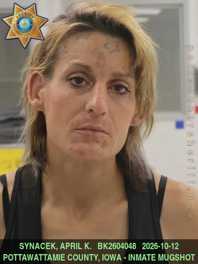 Mugshot of APRIL KRISTINA SYNACEK