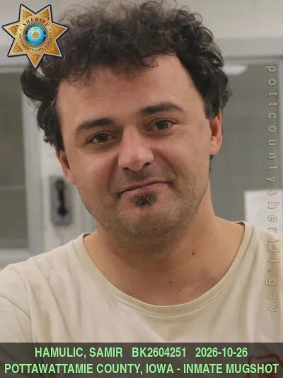 Mugshot of SAMIR HAMULIC