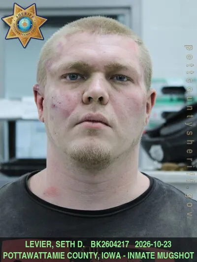 Mugshot of SETH DAVID LEVIER