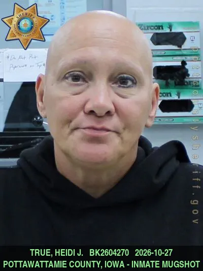 Mugshot of HEIDI JO TRUE