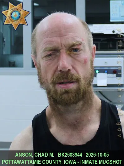 Mugshot of CHAD MICHAEL ANSON