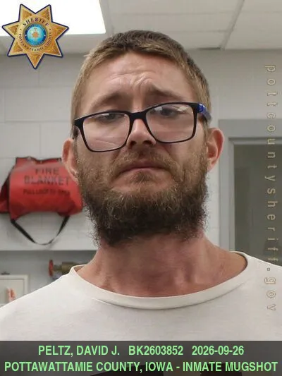 Mugshot of DAVID JOHN PELTZ