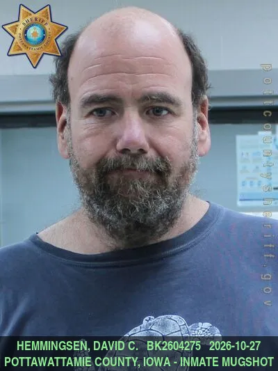 Mugshot of DAVID CARL HEMMINGSEN