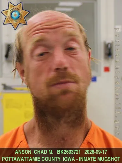Mugshot of CHAD MICHAEL ANSON