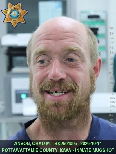 Mugshot of CHAD MICHAEL ANSON
