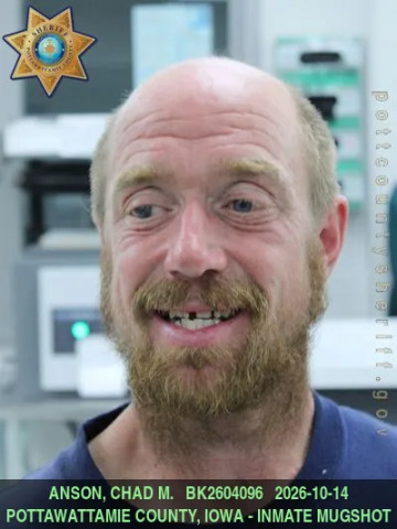 Mugshot of CHAD MICHAEL ANSON