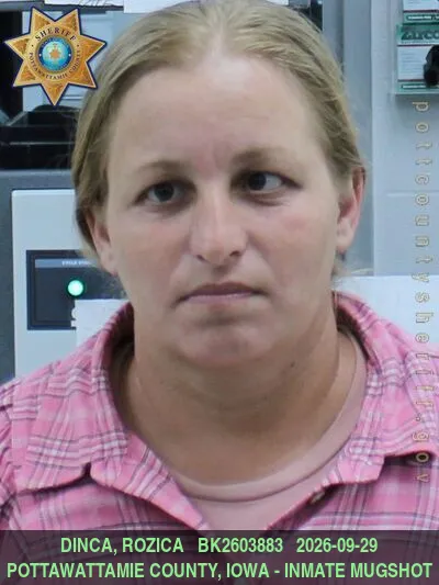 Mugshot of ROZICA DINCA