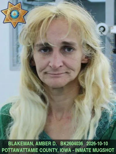 Mugshot of AMBER DAWN BLAKEMAN