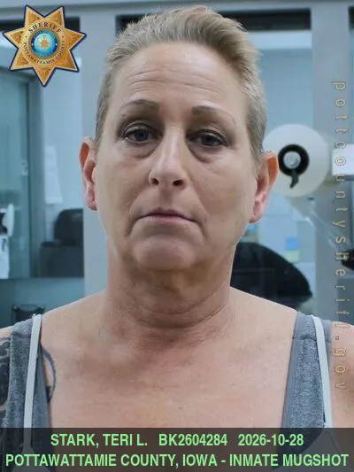 Mugshot of TERI LYNN STARK