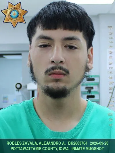 Mugshot of JERICHO LEE REINKE