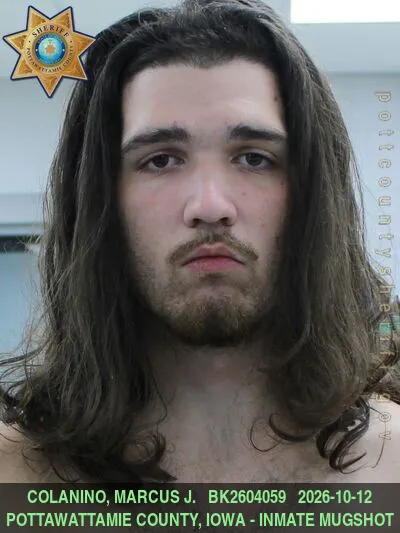 Mugshot of MARCUS JAMES COLANINO