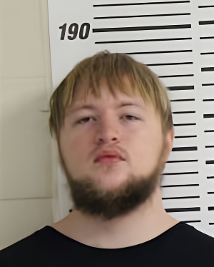 Mugshot of HANZELIN EDWARD DALE