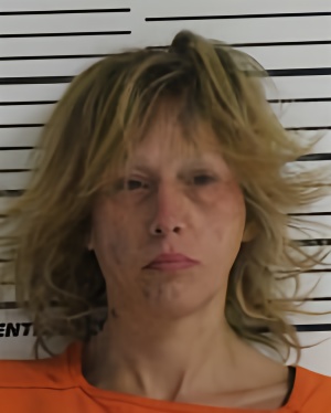 Mugshot of HOOVER NICOLE MARIE