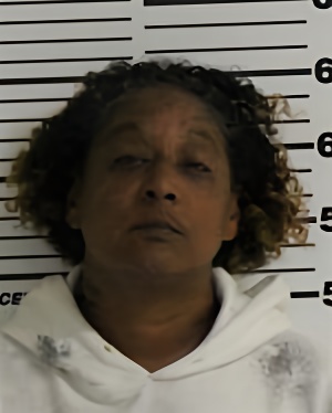 Mugshot of RENO NIKKISHA LUELLA