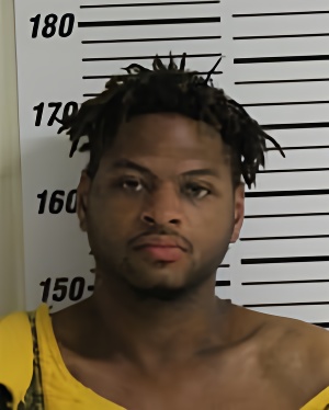 Mugshot of HAYNES MARCELL DEWAYNE