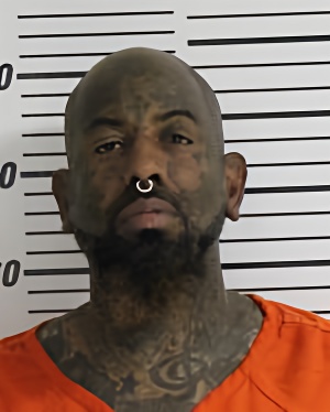 Mugshot of TRICE TIANO NISHAN