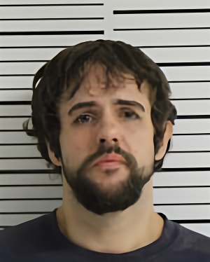 Mugshot of ARMS MARSHALL ORIN