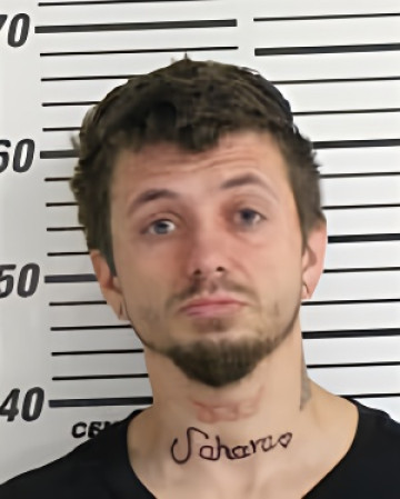 Mugshot of LEVSEN BRANDON MICHAEL