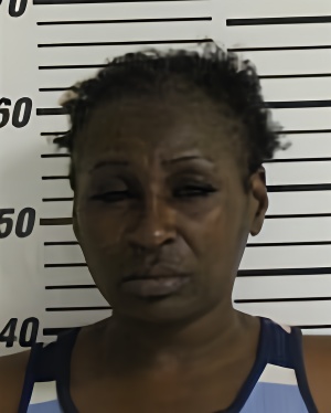 Mugshot of HARRIS STEPHANIE LESHANTA