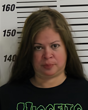 Mugshot of JOHNSON-STEVENS LISA MARIE