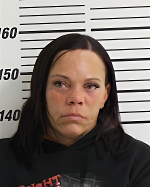 Mugshot of TAYLOR HEATHER RENEE