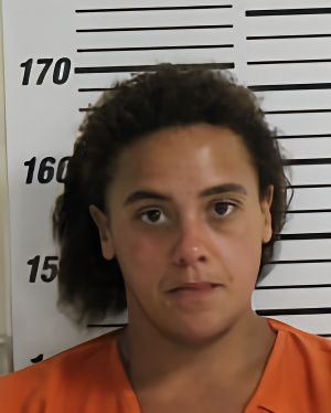 Mugshot of BRYANT DEKEISHA ANN