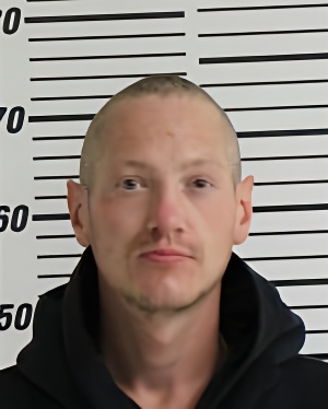 Mugshot of DWYER LUCAS MICHAEL